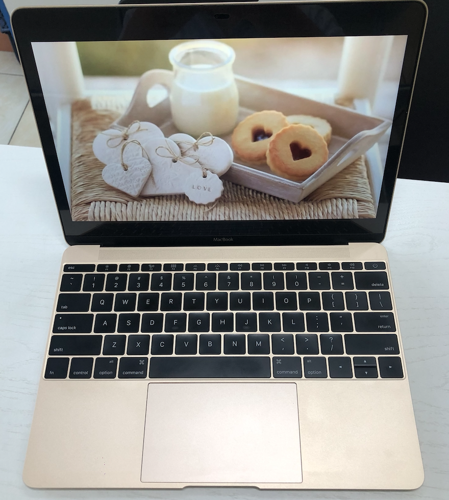 The New Macbook 12inch 2017 Core M3/ Ram 8GB/ SSD 256GB